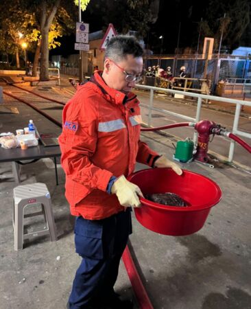 ▲▼香港宏福苑大火45隻動物身亡 生還寵物找不到主人。(圖/香港愛護動物協會)