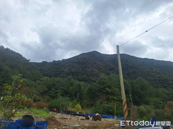 ▲▼ 稱馬崙新山線步道4.5k處,今日上午有6名山友遭蜂螫 。(圖/記者李陳信得翻攝)