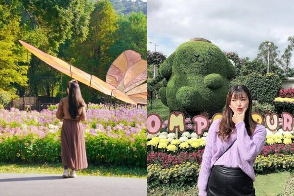 ▲▼士林賞菊一日遊攻略。(圖/ReadyGo提供)