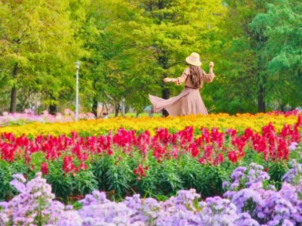 ▲▼士林賞菊一日遊攻略。(圖/ReadyGo提供)