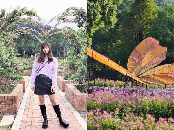 ▲▼士林賞菊一日遊攻略。(圖/ReadyGo提供)