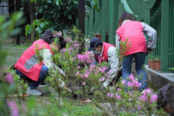 ▲新北耶誕綠意快閃 千盆樹苗限時送。(圖/新北市農業局提供)