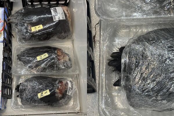 ▲▼熊掌上架日本超市。(圖/翻攝自Thread)