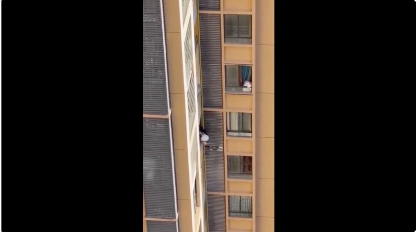 ▲▼中國女子高樓爬牆直擊。(圖/翻攝X)