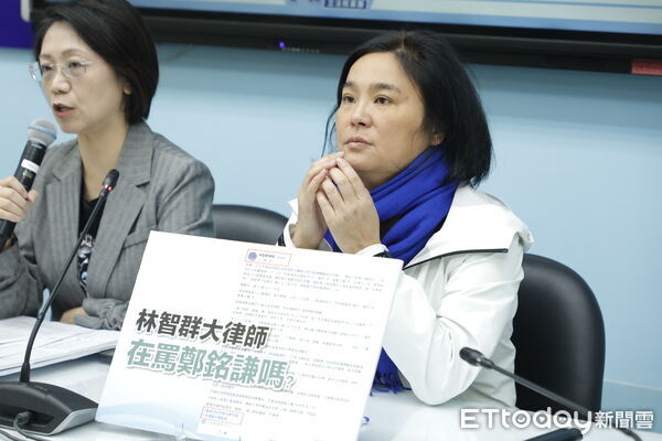 ▲國民黨立委陳玉珍。(圖/記者湯興漢攝)