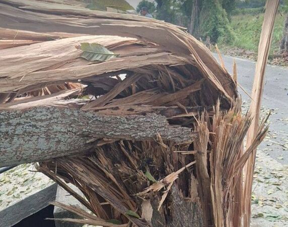 ▲陸軍砲彈出軌穿越3民宅。(圖/民眾提供)