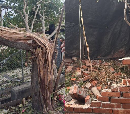 ▲砲彈射穿樹木及磚造牆壁。(圖/民眾提供)