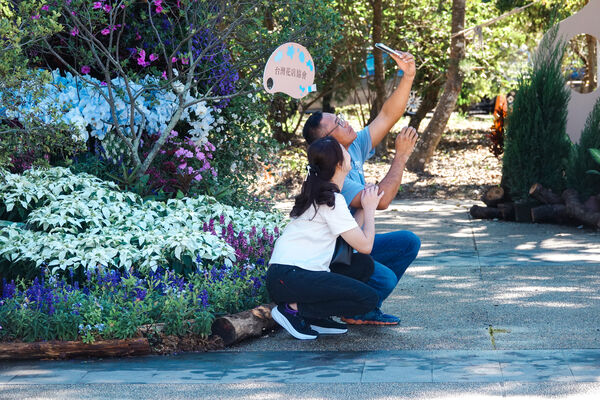 ▲埔里化身冬日「花之都」!南投花卉嘉年華登場,地景花毯、巨型花藝裝置一次看。(圖/南投縣政府)