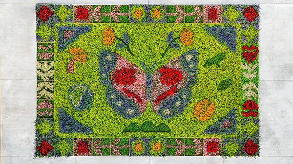 ▲埔里化身冬日「花之都」!南投花卉嘉年華登場 地景花毯、巨型花藝裝置一次看 。(圖/南投縣政府)