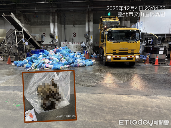 信義區富陽街貓屍。(圖/台北市動保處提供)