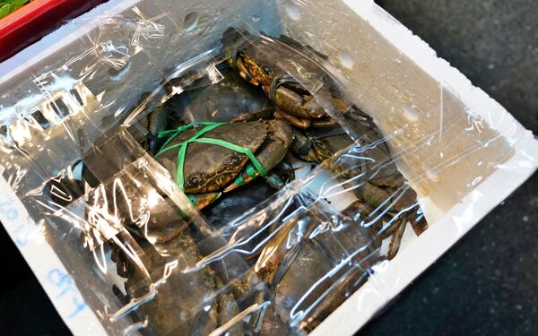 ▲▼花蓮必吃超人氣海產「福源海鮮」,當季新鮮海產這裡都吃得到。(圖/部落客Mika提供)