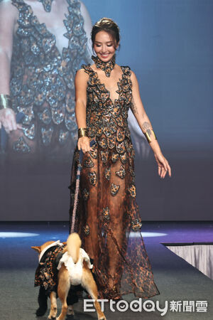 ▲▼ 臺北萌寵時裝週-薔薔 。(圖/記者黃克翔攝)