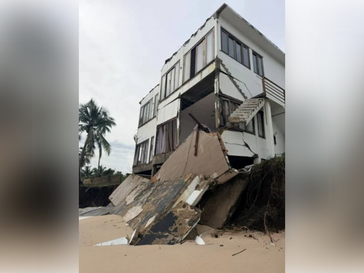 ▲▼ 。(圖/翻攝自星洲網)