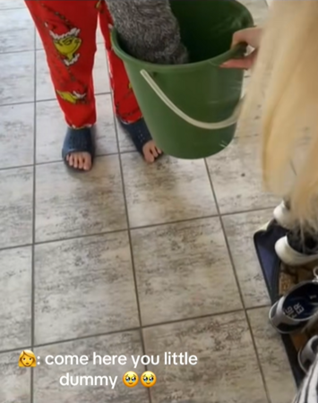 在家聽到詭異刮金屬聲,倉鼠探頭。(圖/翻攝自Tiktok@mila.sophie99)