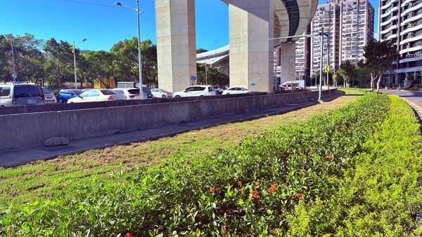 ▲五股閒置地變身城市綠廊 新北打造綠意生活新風貌。(圖/新北市景觀處提供)