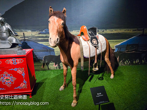 ▲▼西藏雪頓節文化活動體驗「蒙藏文化館」,面具DIY、免費藏服體驗。(圖/部落客史努比提供)