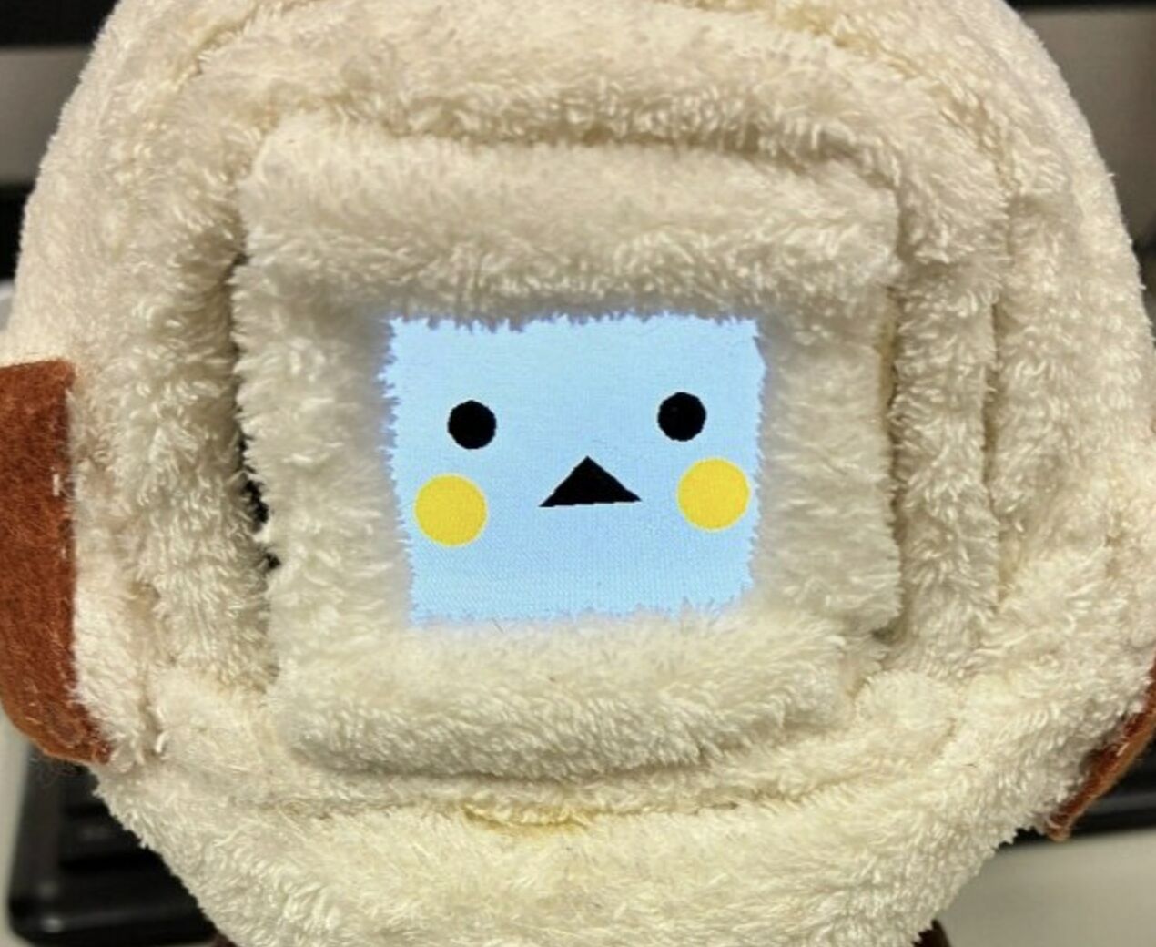 ▲▼ AI,陪伴,機器人,超高齡社會,長輩,健康,日本,AI科技。(圖/截取自《朝日新聞》)