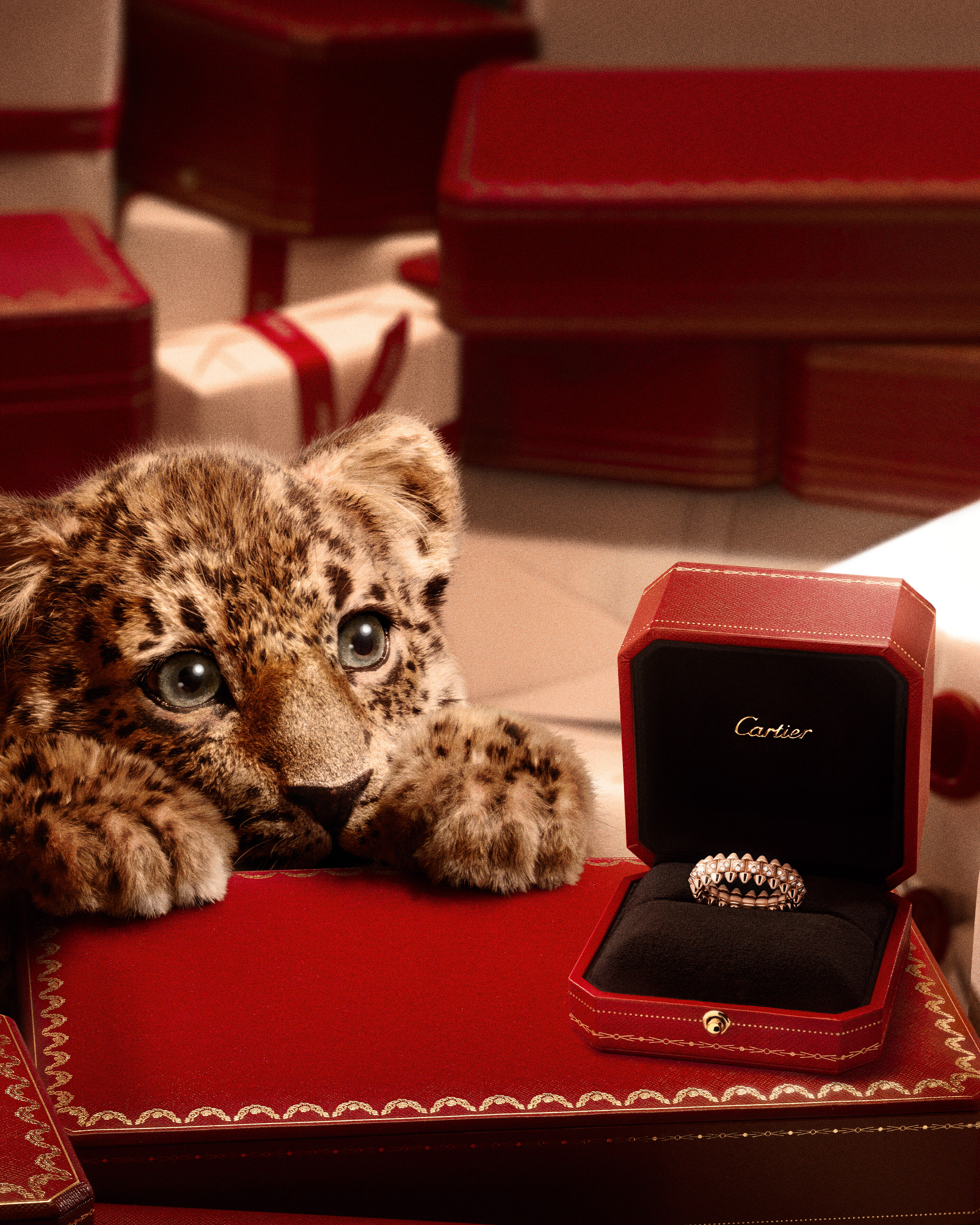 ▲▼Cartier,Harry Winston 。(圖/公關照)
