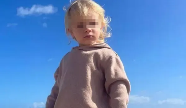 2個月前才收養 2歲男童回家找比特犬玩「30秒內遭咬死」。(圖/翻攝自Instagram)