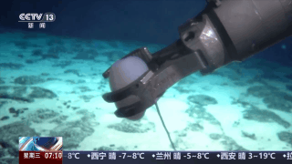 ▲深海海綿。(圖/翻攝央視)