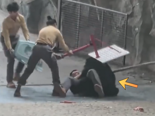 ▲「黑熊撲倒飼育員」園方稱太貪吃 惹大陸網友眾怒:抵制動物表演(圖/翻攝自小紅書)