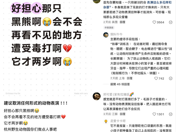 ▲「黑熊撲倒飼育員」園方稱太貪吃 惹大陸網友眾怒:抵制動物表演(圖/翻攝自小紅書)