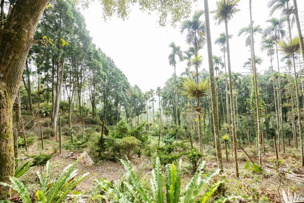▲▼哲學之道農莊。(圖/部落客黑皮的旅遊筆記授權提供)