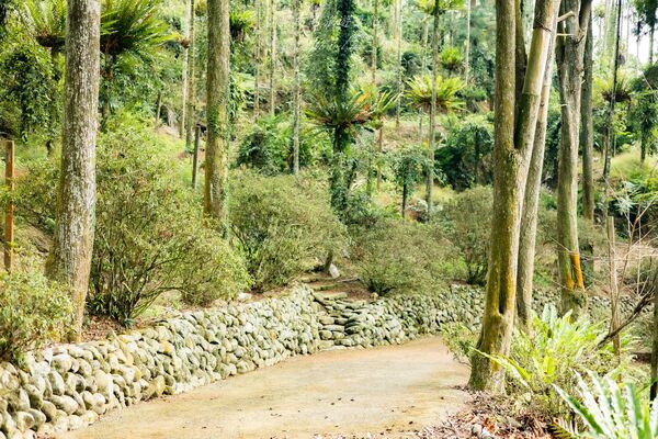▲▼哲學之道農莊。(圖/部落客黑皮的旅遊筆記授權提供)