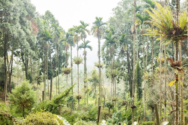 ▲▼哲學之道農莊。(圖/部落客黑皮的旅遊筆記授權提供)