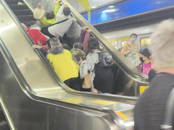 ▲▼ 。(圖/網友@dailyhsing 授權引用)