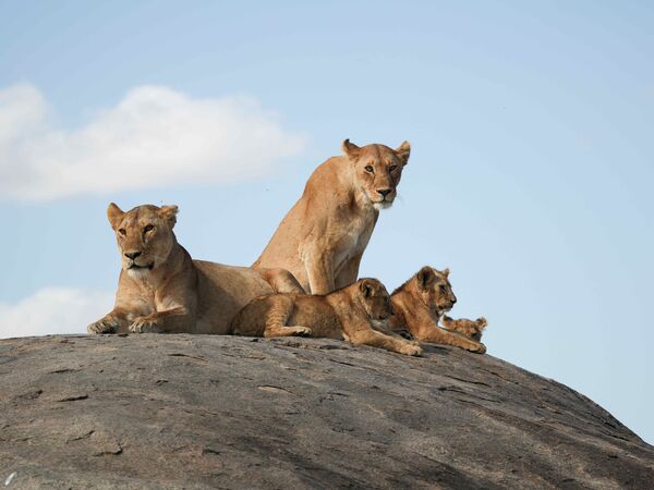 ▲雷艾美與文姿云模仿大象。(圖/三立提供)