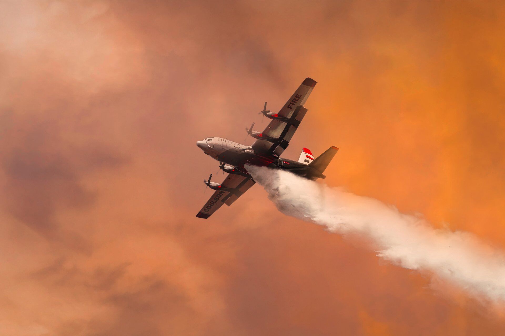 ▲▼ Oris,Longines 。(圖/公關照)