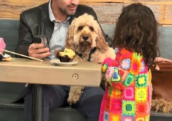 ▲。(圖/翻攝自TikTok/@scoutybooboo31)