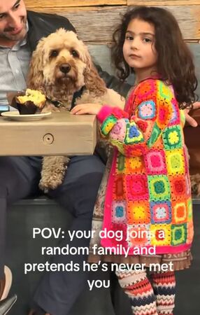 ▲。(圖/翻攝自TikTok/@scoutybooboo31)