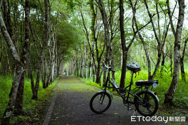 ▲▼四季縱谷山下行系列遊程,以低碳電輔車導覽連結四季開創限定在地體驗,推出整年都能走訪花蓮的慢行遊程。(圖/縱管處提供,下同)