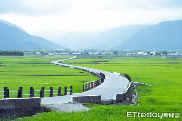 ▲▼四季縱谷山下行系列遊程,以低碳電輔車導覽連結四季開創限定在地體驗,推出整年都能走訪花蓮的慢行遊程。(圖/縱管處提供,下同)