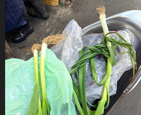 ▲一隻青蒜要價35元。(圖/民眾提供)