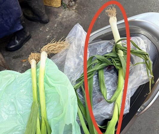 ▲一隻青蒜要價35元。(圖/民眾提供)