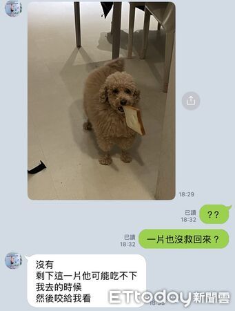 ▲。(圖/Threads@chihhsuan1218提供,請勿隨意翻拍,以免侵權。)