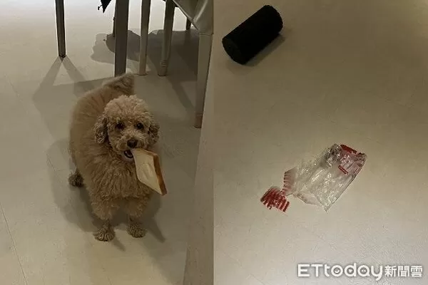 ▲。(圖/Threads@chihhsuan1218提供,請勿隨意翻拍,以免侵權。)