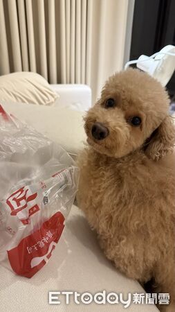 ▲。(圖/Threads@chihhsuan1218提供,請勿隨意翻拍,以免侵權。)