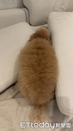 ▲。(圖/Threads@chihhsuan1218提供,請勿隨意翻拍,以免侵權。)