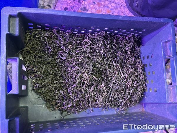 ▲▼ 。(圖/記者白珈陽翻攝)