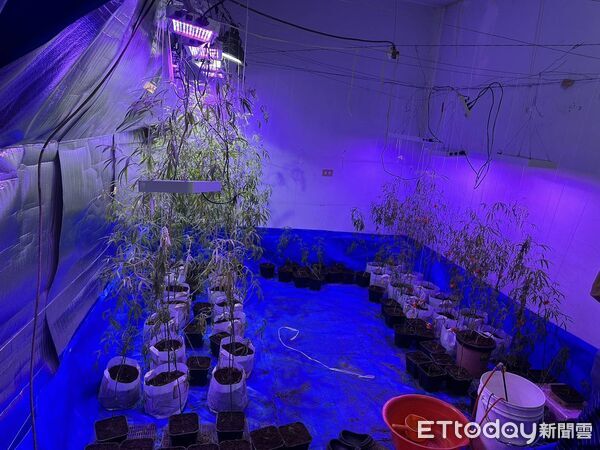 ▲▼ 。(圖/記者白珈陽翻攝)