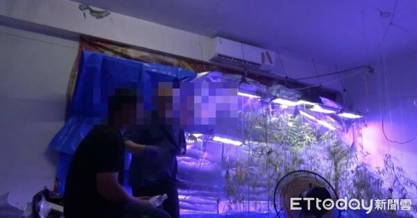 ▲▼ 。(圖/記者白珈陽翻攝)