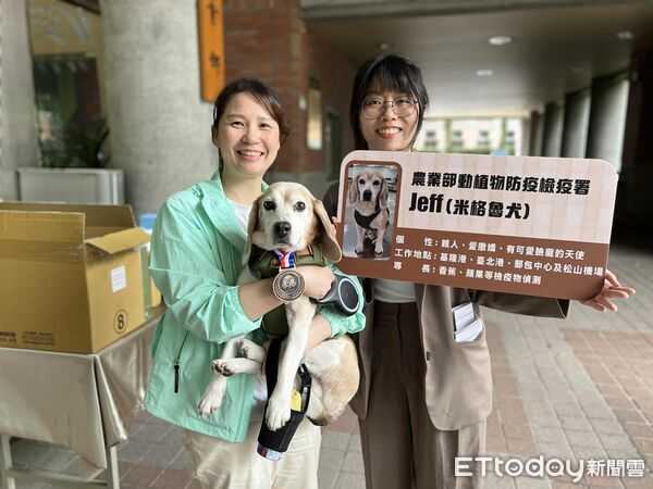 退役工作犬AJ、Jeff(圖/記者李依融攝)