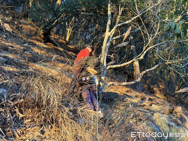 ▲▼ 。(圖/記者李陳信得攝)