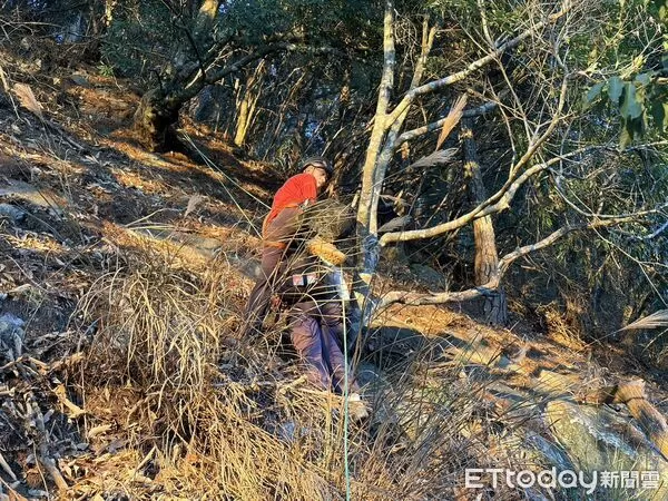 ▲▼ 。(圖/記者李陳信得攝)