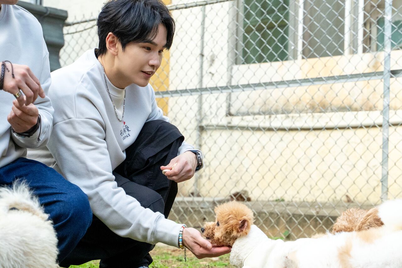 ▲▼愛心大使Energy親送1000公斤愛心飼料給「毛腿腿浪愛幸福協會」。(圖/Hit Fm聯播網提供)