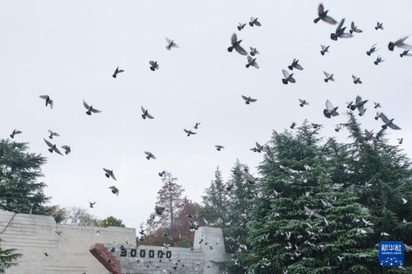 ▲▼南京大屠殺死難者公祭 石泰峰:珍愛和平、開創未來。(圖/翻攝新華社)